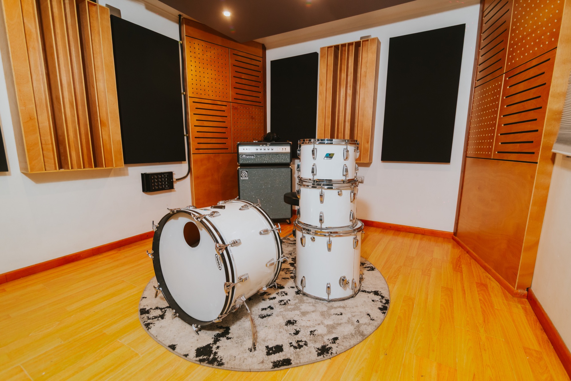 Bateria Ludwig
